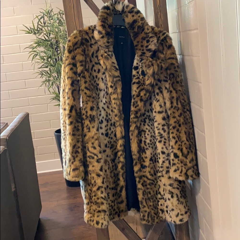 Leopard jacket NWT